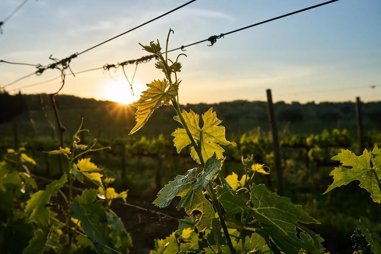 Alloggio per agriturismo Agriturismo Tesorino Massa Marittima