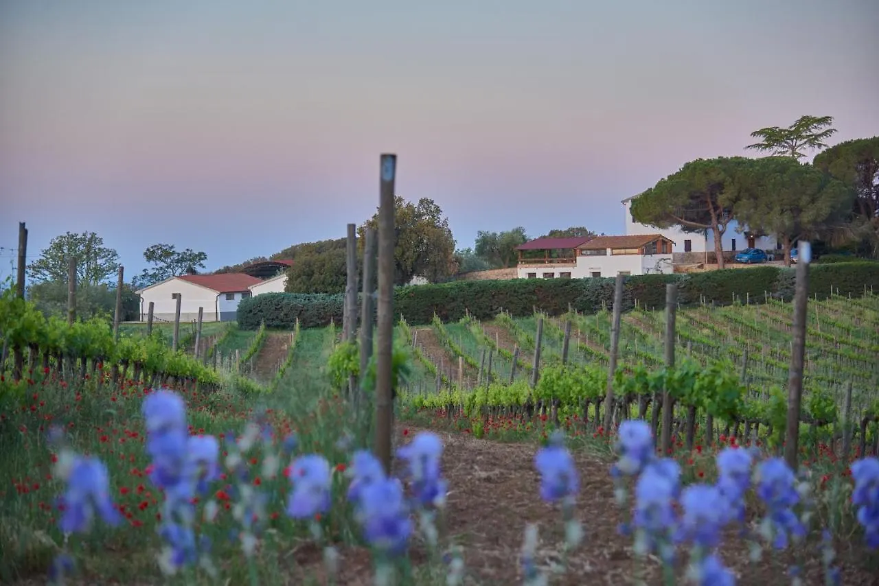 Agriturismo Tesorino Massa Marittima 0*,