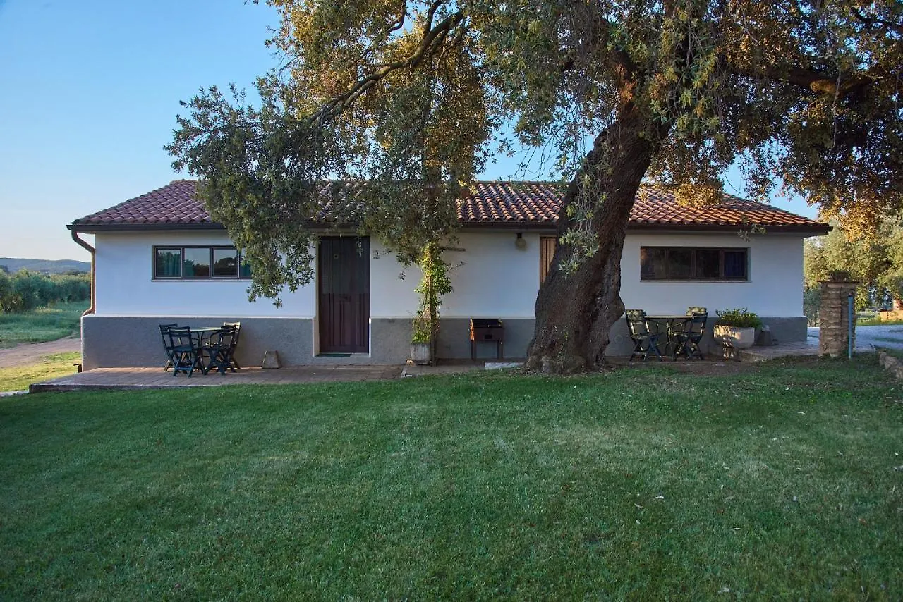 Alloggio per agriturismo Agriturismo Tesorino Massa Marittima Italia
