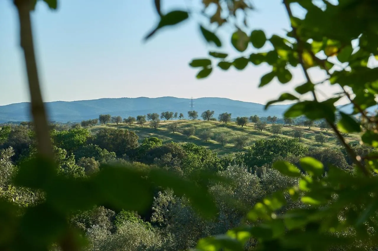 Agriturismo Tesorino Massa Marittima Alloggio per agriturismo