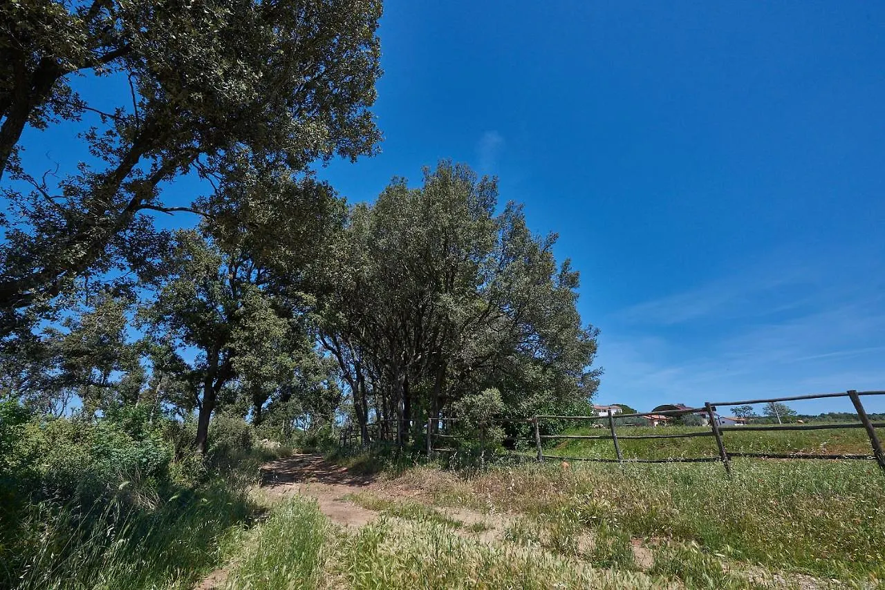 Alloggio per agriturismo Agriturismo Tesorino Massa Marittima